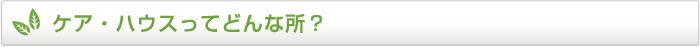 ケア・ハウスってどんな所？